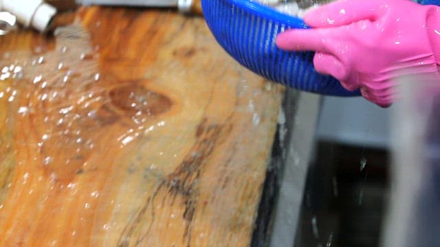 Washing freshly prepared eel in the kitchen