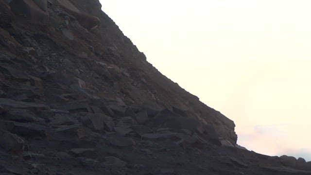 Animal Falling Off a Cliff