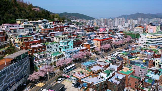 Colorful Urban Landscape with Blooming Trees in Spring
