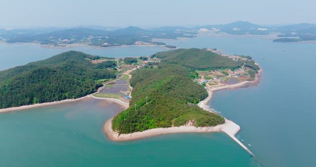 Aerial view of a lush green island