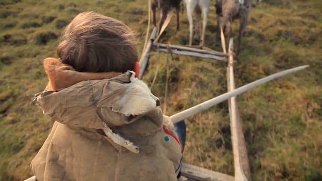 Child in traditional clothing on a sleigh ride