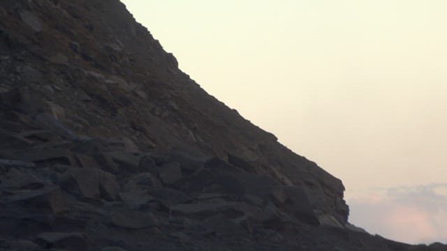 Animal Falling Off a Cliff