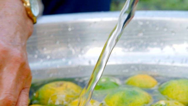 Fresh tangerines in a large basin being washed under running water