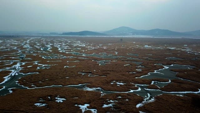 Vast marshland with patches of snow