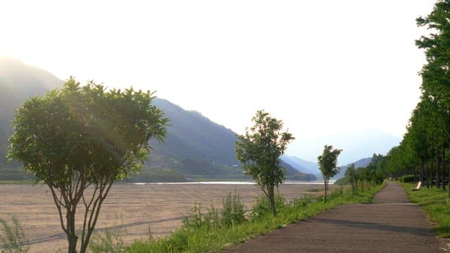 Person walking on a serene riverside path in late afternoon