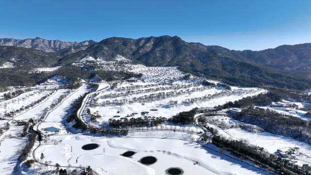 Snow-covered Landscape with Pine Trees and Roads