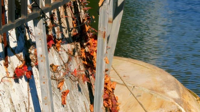 Rusted railing with autumn leaves near a river