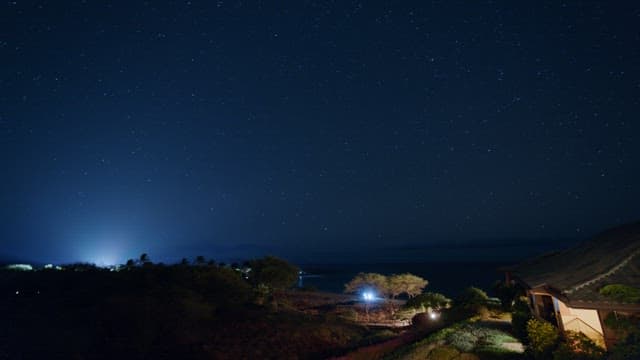 Starry Sky Over Coastal Landscape at Night