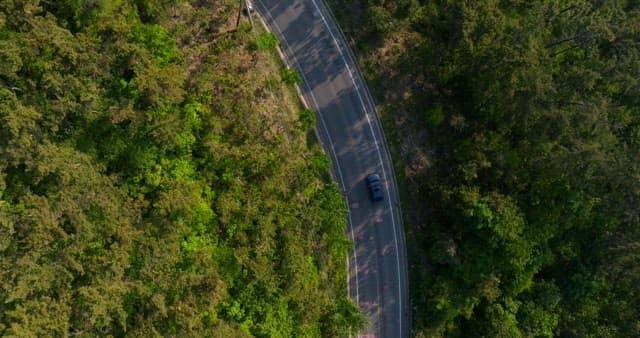 Car Driving through a Forest Road