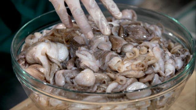 Fresh webfoot octopus in a glass bowl