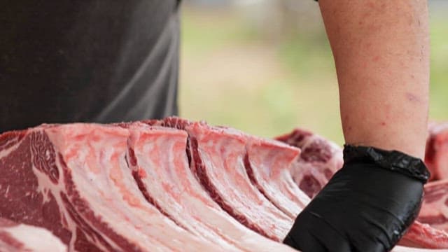 Person putting seasoned meat on the grill