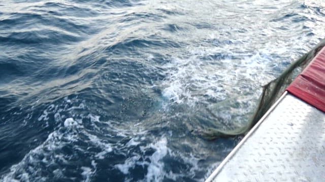 Fishing Boats Departing in the Morning for Fishing
