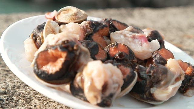 Fresh conches plated on a plate