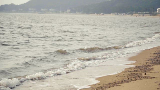 Gentle Waves Washing Ashore on a Cloudy Day