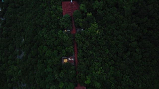 Aerial View of Temples Amidst Lush Greenery