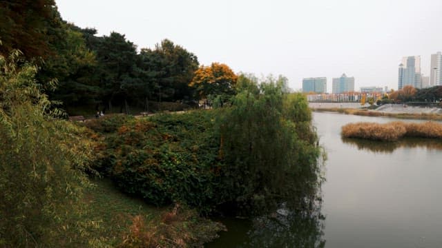 Serene Park with Autumn Colors and City Backdrop