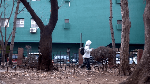 Person walking on winter trail