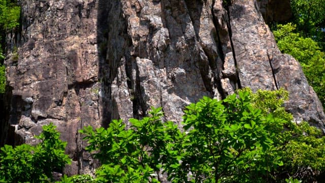 Majestic rock surrounded by green vegetation