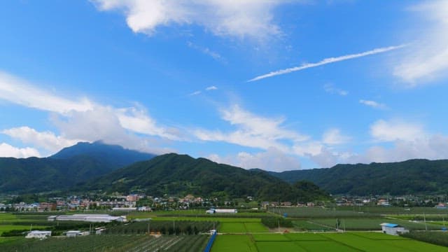 Green farmlands with mountains in the background