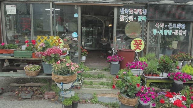 Person entering a flower shop filled with colorful blooms.