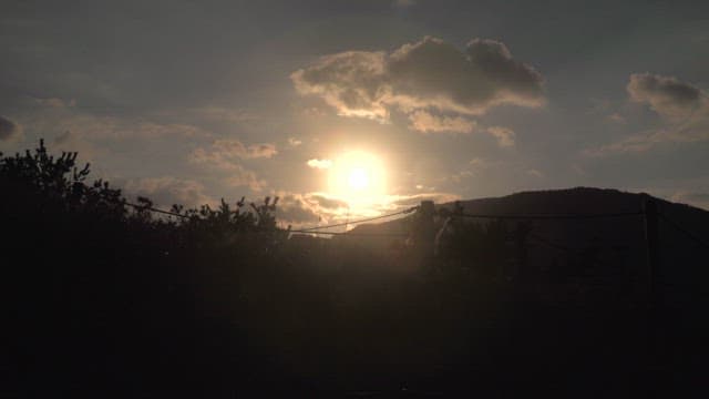 Silhouettes of people against a sunset