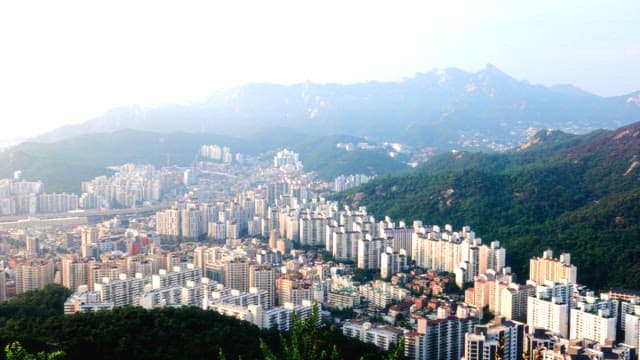 Overlooking a Vibrant Cityscape from the Hills
