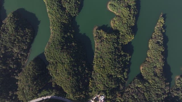 Serene Lakes Amidst Rolling and Lush Forested Hills