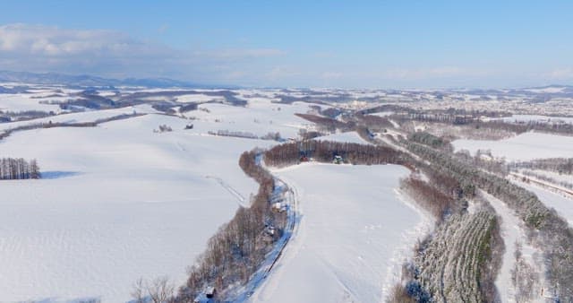 Snow-covered Landscape with Buildings
