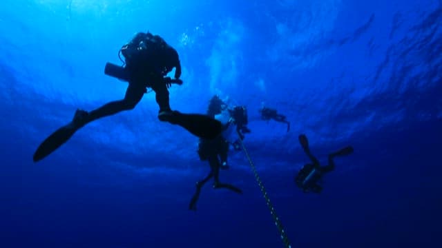 Divers going up to the surface