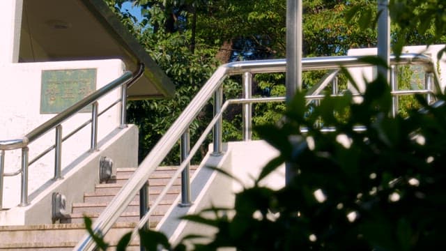 Staircase with greenery in the background