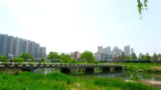 Blue and green lake park on a sunny afternoon
