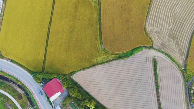 View of fields and village