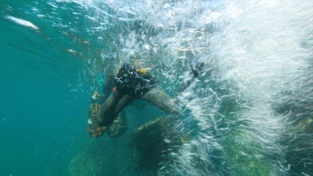 Female diver collecting seafood from the sea
