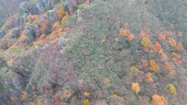 Colorful autumn forest with rocky cliffs