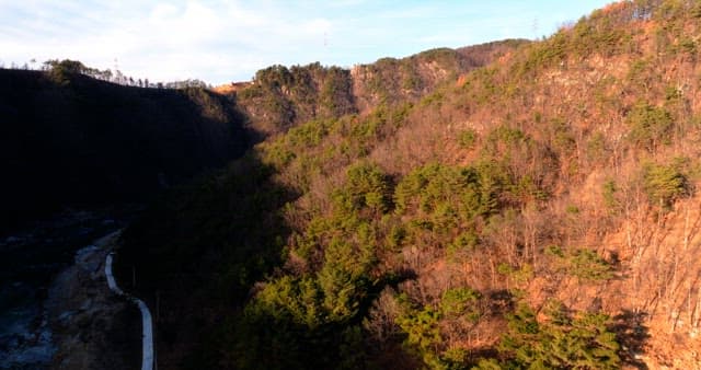 Mountainous Region with Many Trees