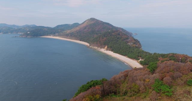 Coastal Landscape with Forested Hills