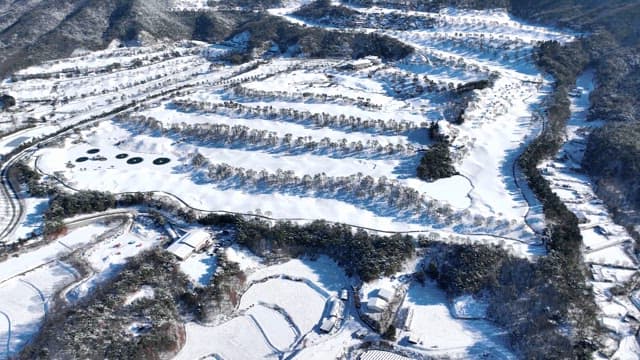 Snow-covered Landscape with Mountains and Trees