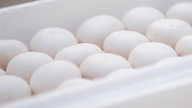Close-up of white mushrooms in a white container