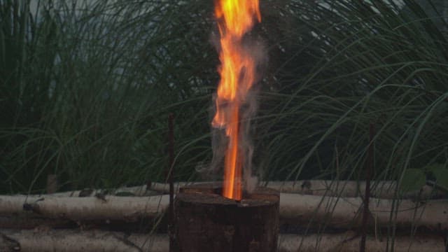 Firewood burning with flames in a grassy area