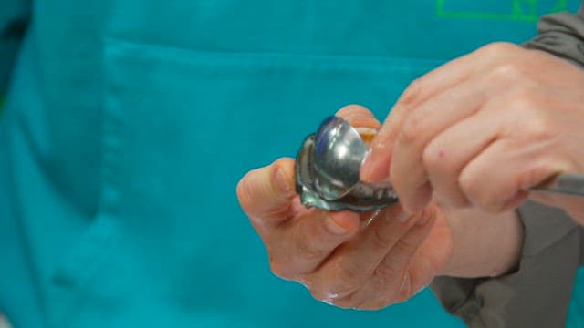 Shucking and preaparing an abalone shell by hand