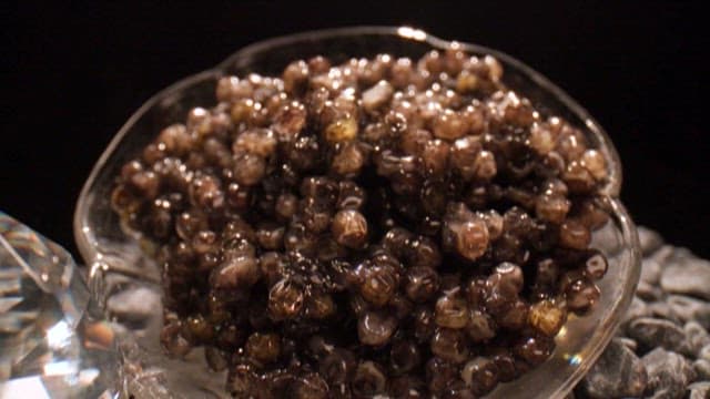 Shimmering Jewelry and Caviar, Exclusive Ingredient from the Sea