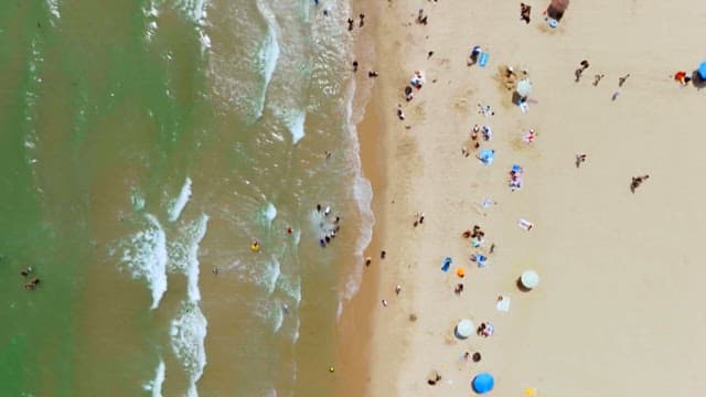 Crowded beach with people enjoying the waves