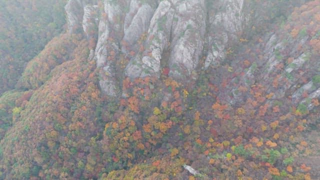 Colorful autumn forest with rocky cliffs