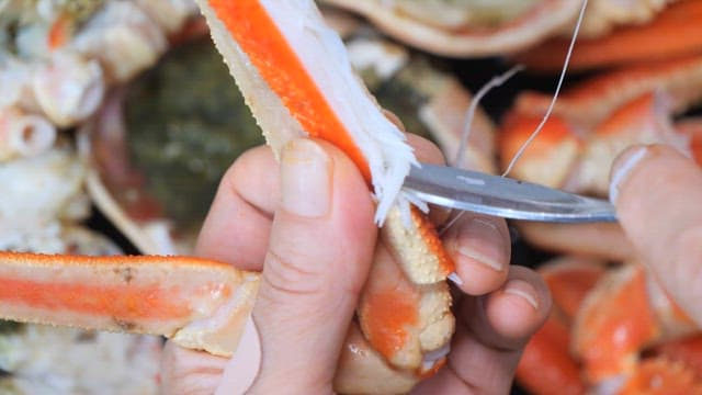 Extracting well-cooked crab meat with spoon