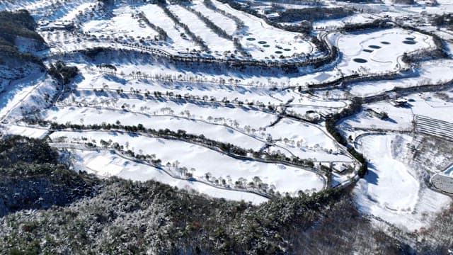 Snow-Covered Landscape from Above