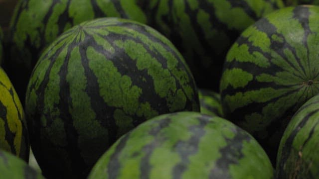 Close-up of fresh watermelons
