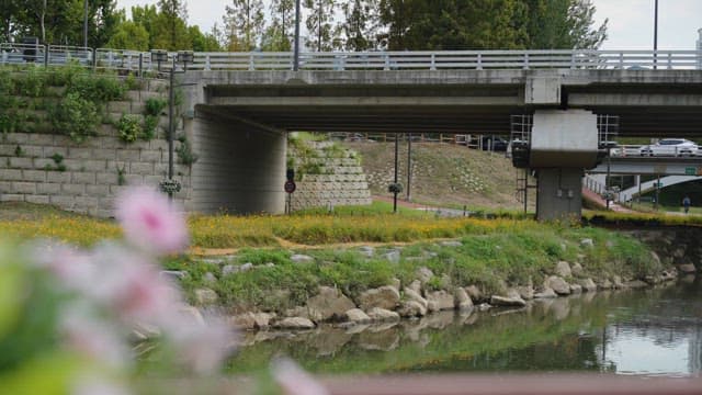 Bridge over a river with flowers