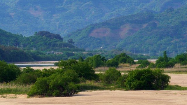 Verdant landscape with lush green bush and distant mountains