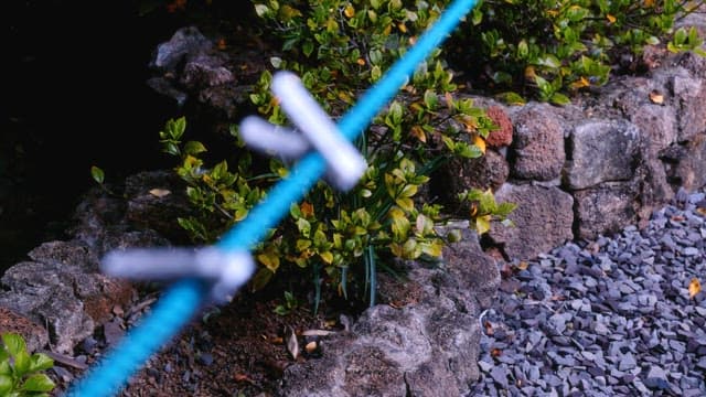 Blue clothesline and tongs in the green garden