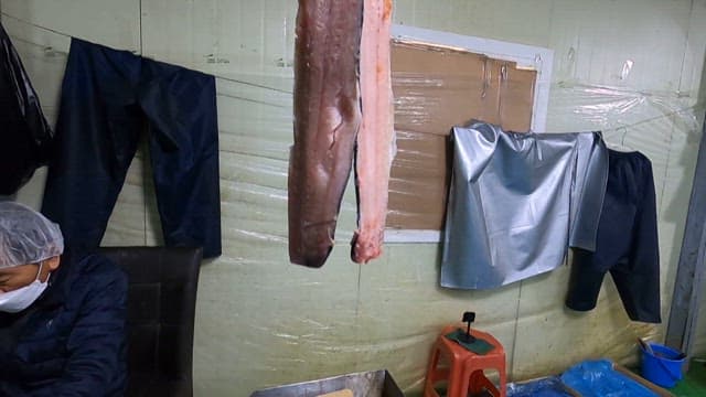 Person showing a trimmed fish